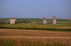 D'Arcy (relocated to area farm)
July 2005